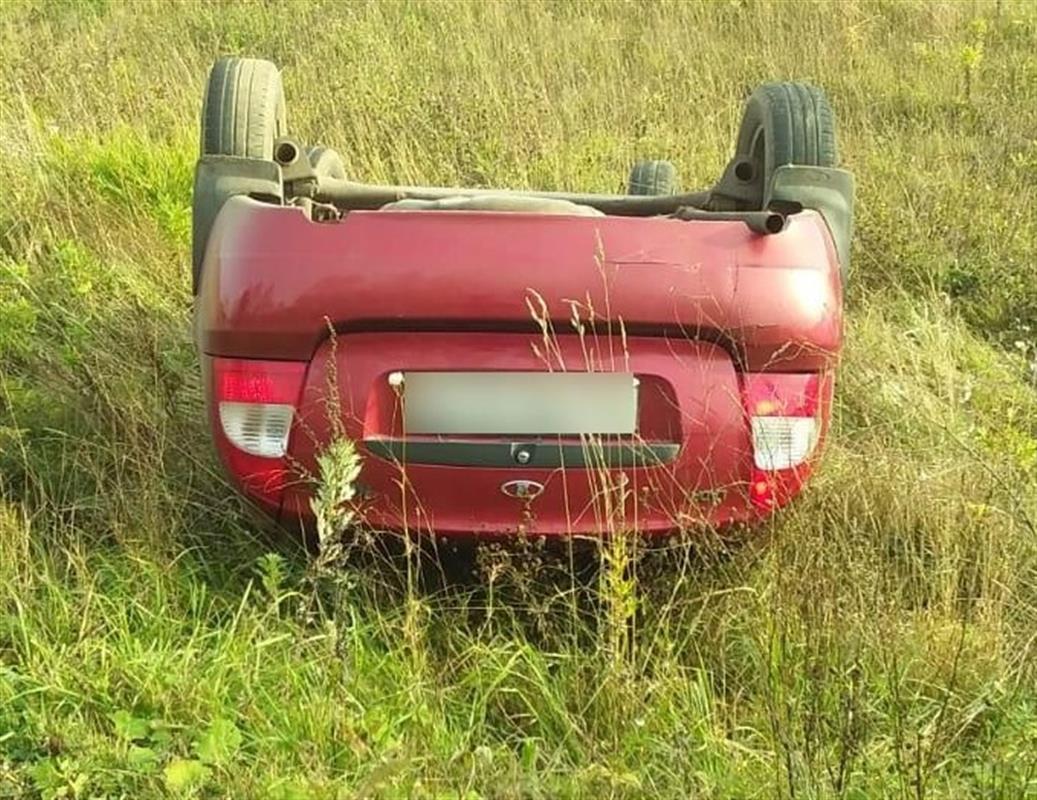 В Костромской области автомобиль съехал с дороги и перевернулся, водитель погиб
