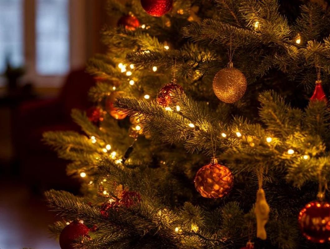 На новогодние праздники в Костроме усиливают меры безопасности