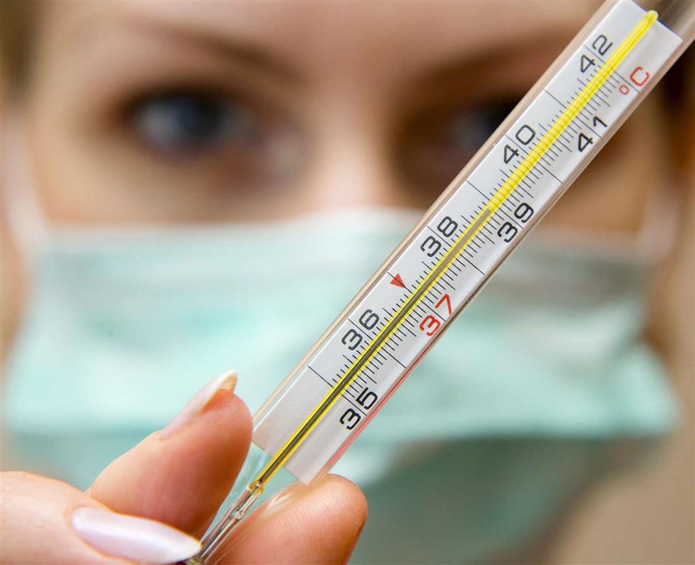 В Костромской области эпидпороги заболеваемости ОРВИ и гриппом не превышены 
