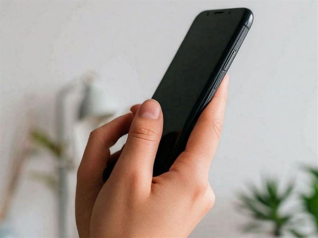 Костромичи продолжают верить в байки мошенников про «безопасные счета» и теряют миллионы