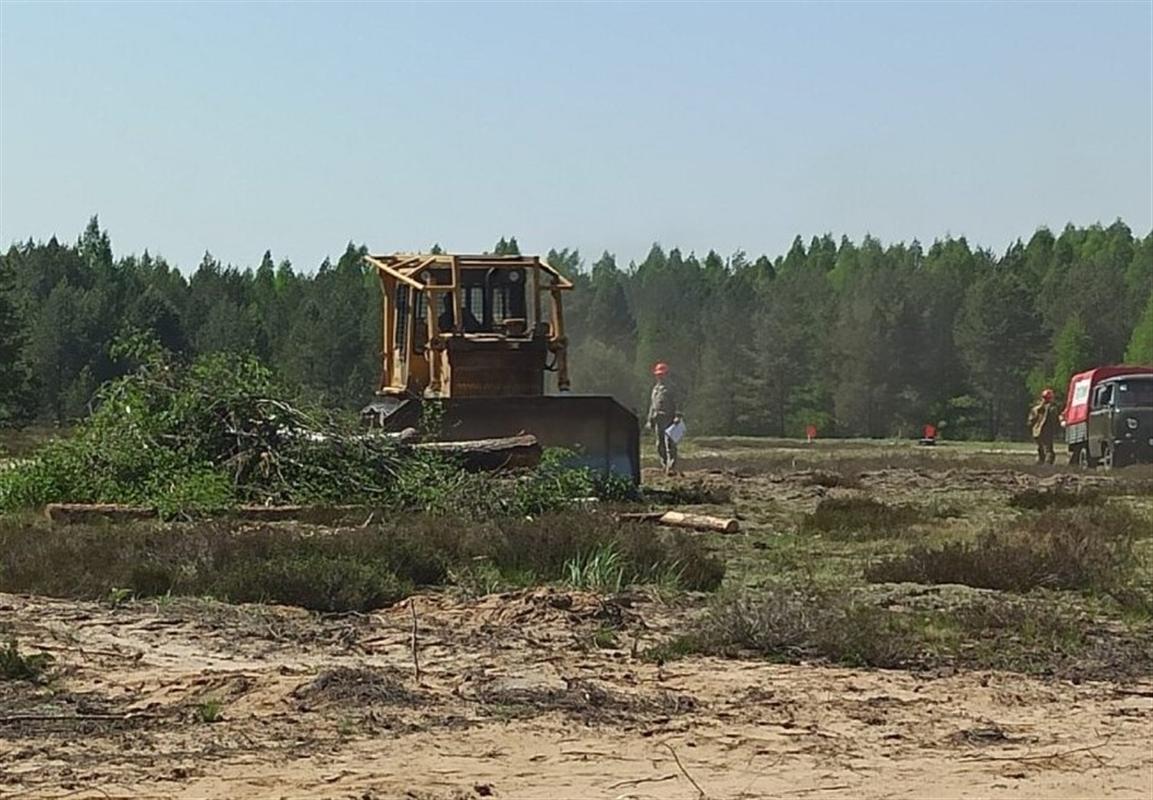 Пожароопасный сезон в лесах Костромской области отменен 