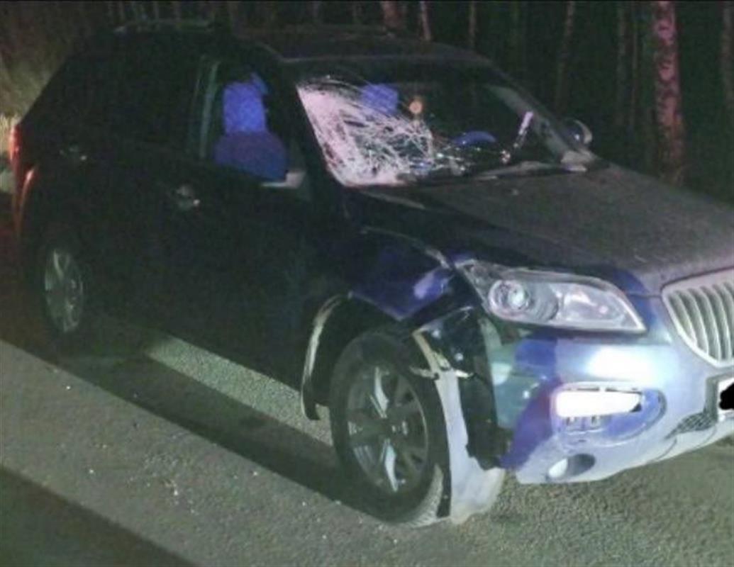 Под Костромой водитель иномарки насмерть сбила пешехода
