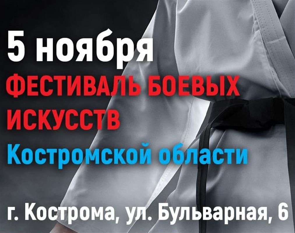 В Костроме пройдет фестиваль боевых искусств
