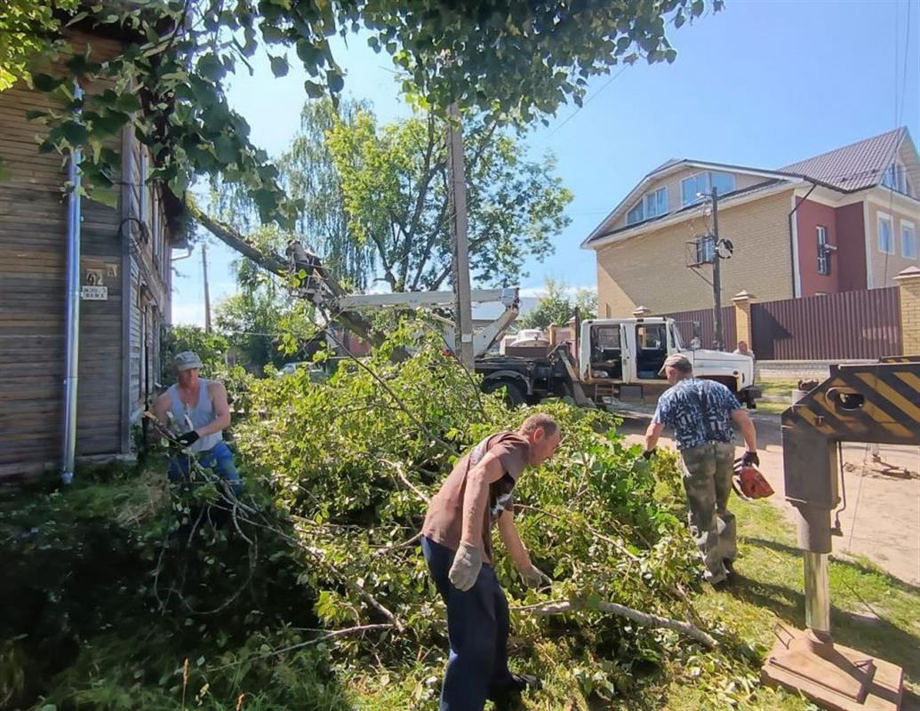 В Костроме оперативно устраняют последствия непогоды 
