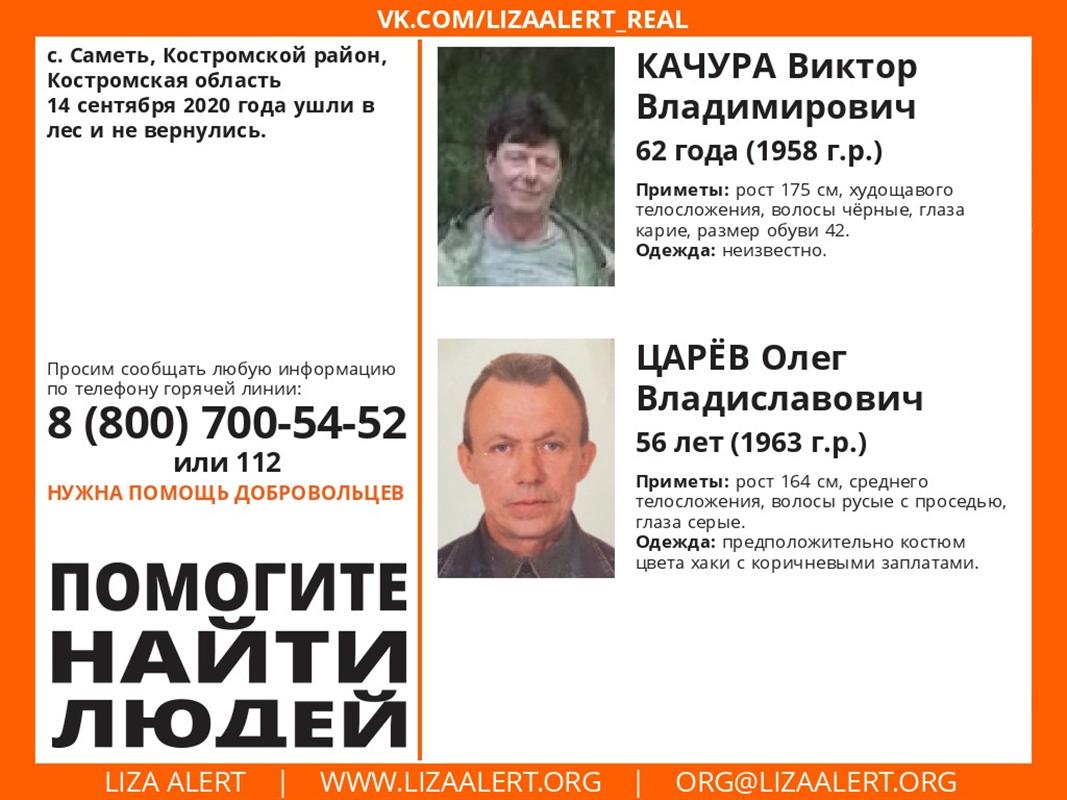 Таинственно исчезнувших в Костромской области охотников до сих пор не нашли