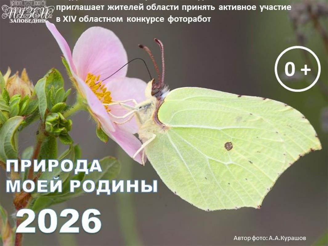 В Костромской области стартовал фотоконкурс «Природа моей Родины»