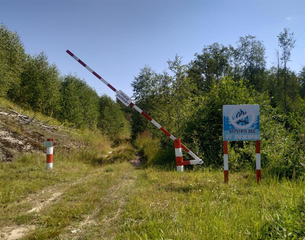 В Костромской области начали наказывать за нарушение противопожарного режима
