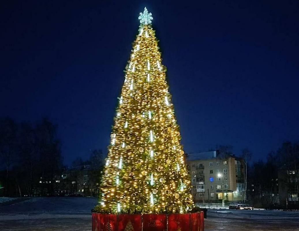 Новогодняя ель из Костромы претендует на участие во всероссийском конкурсе 