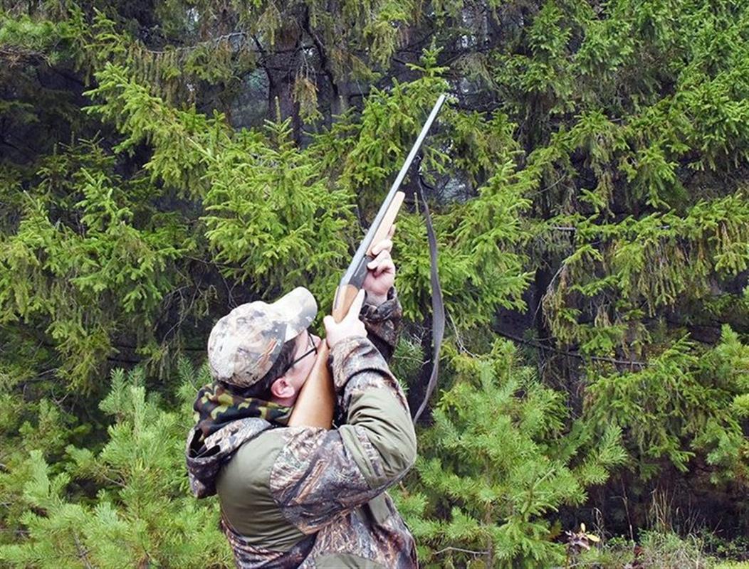 В Костромской области введены дополнительные ограничения на охоту