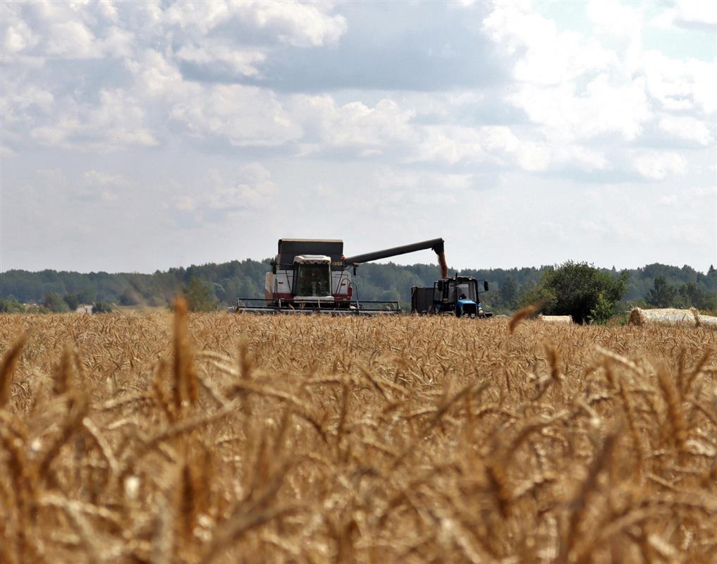 Хозяйства Костромского района - в лидерах по урожайности зерновых и картофеля