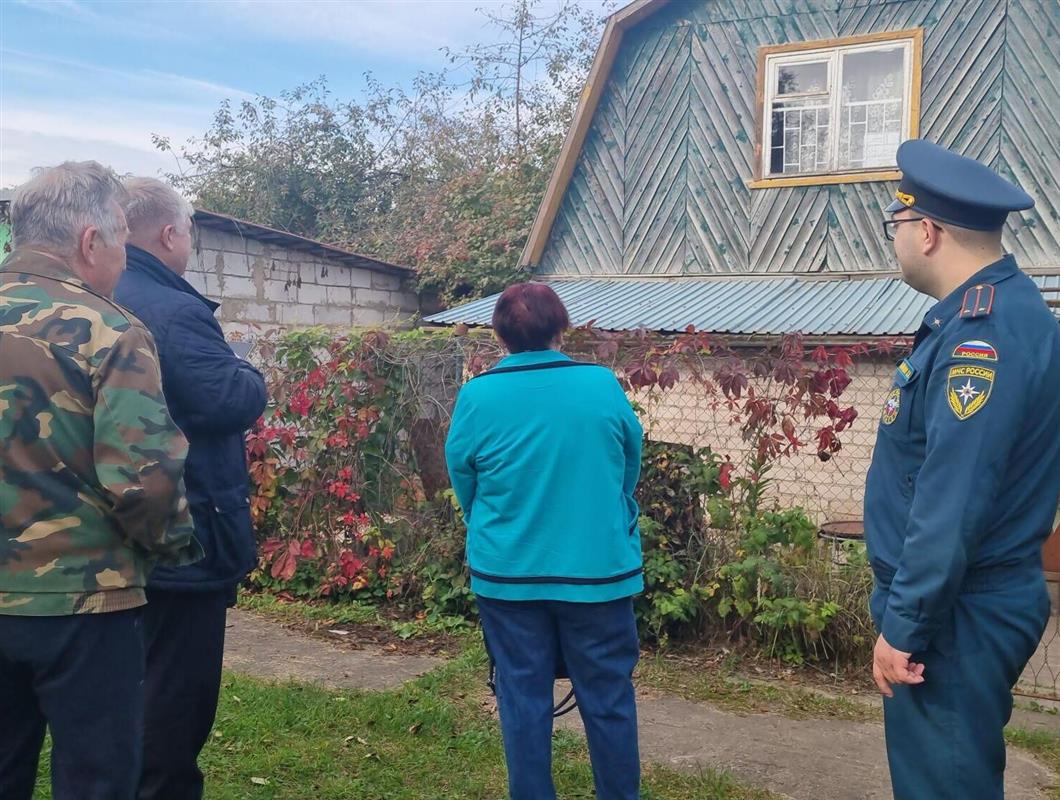 Костромским садоводам напоминают, как грамотно подготовить участок к холодам
