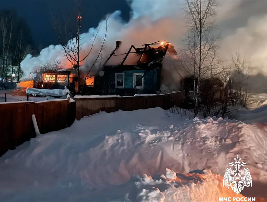 В костромском СНТ пожар уничтожил садовый дом
