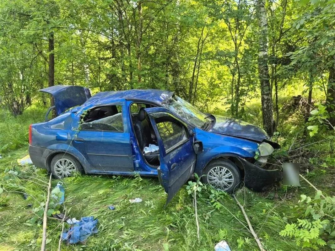 Иномарка съехала в кювет с костромской трассы: пострадали водитель и трое пассажиров 