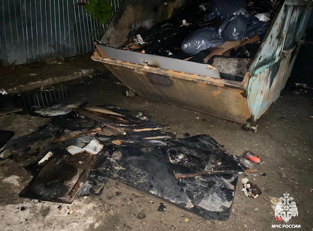 Костромичам напоминают, что за поджог мусора в контейнере можно получить штраф
