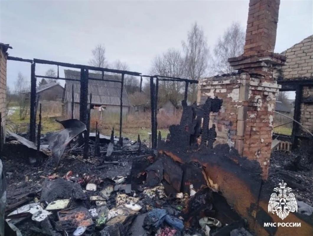 Жительница Костромской области получила ожоги при пожаре в частном доме