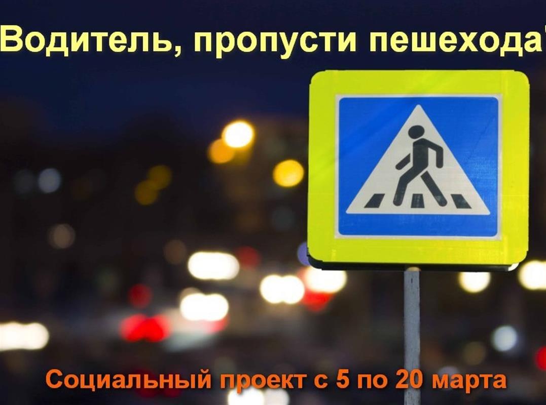 На костромских дорогах стартует социальный проект «Водитель, пропусти пешехода!»