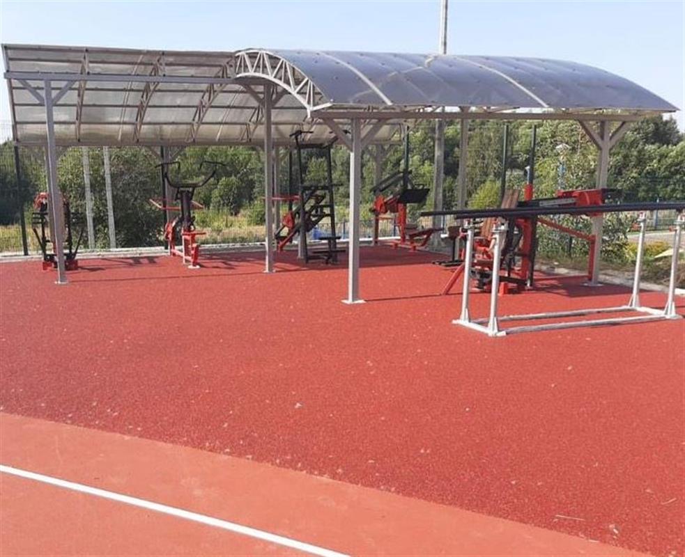 Центр развития внешкольного спорта откроется в Костроме осенью