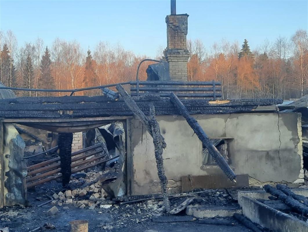 При пожаре в Костромском районе погибла женщина
