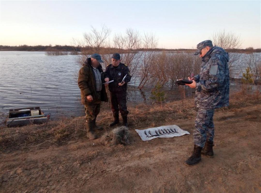 Браконьера с сетями набитыми рыбой поймали под Костромой
