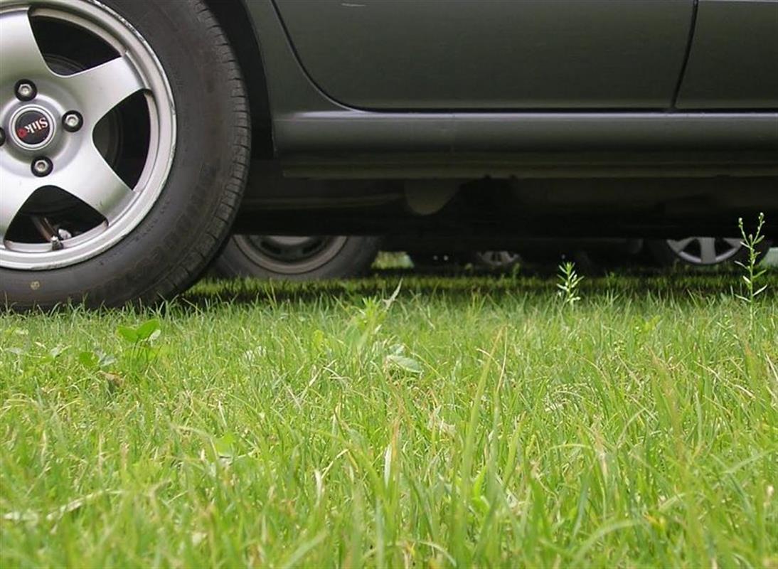 В Костроме «Народный инспектор» защищает газоны от незаконной парковки