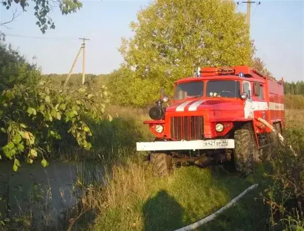 Лесной пожар в Костромской области потушили меньше чем за сутки