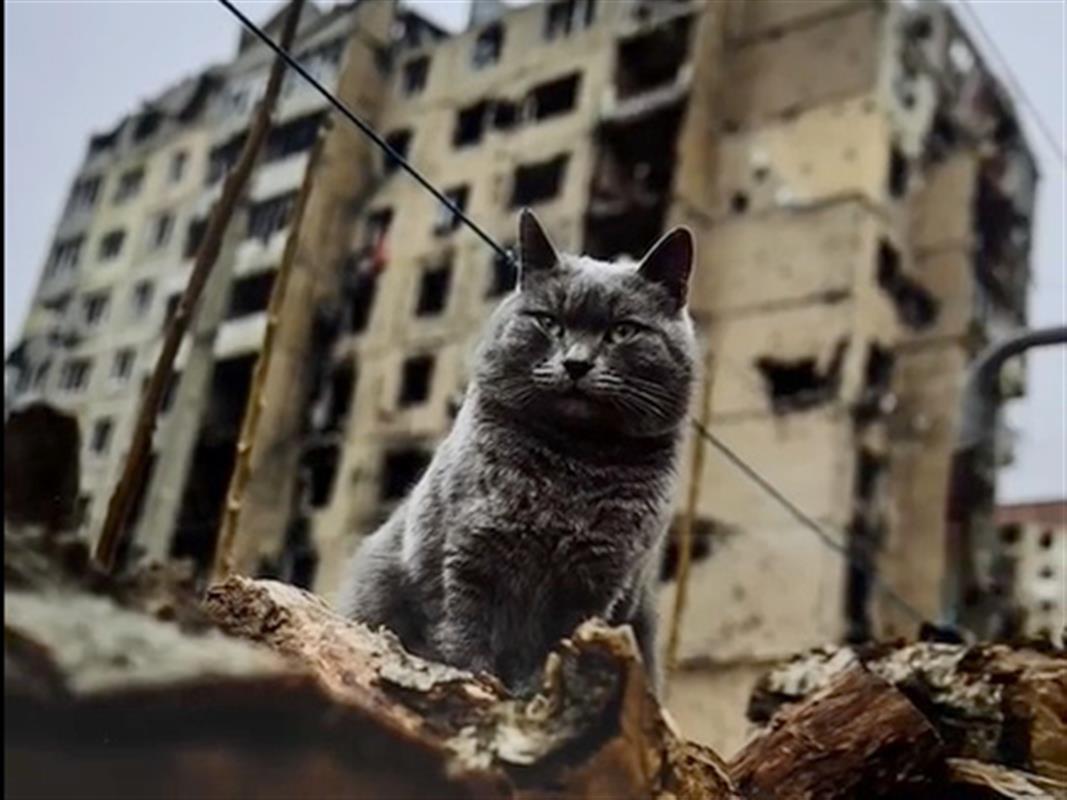 В Костроме открылась выставка военных фотографий «Непокорённые»