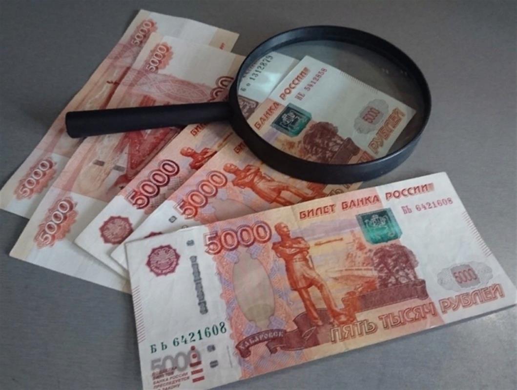 Двенадцать фальшивых банкнот разного номинала обнаружили в Костромской области 
