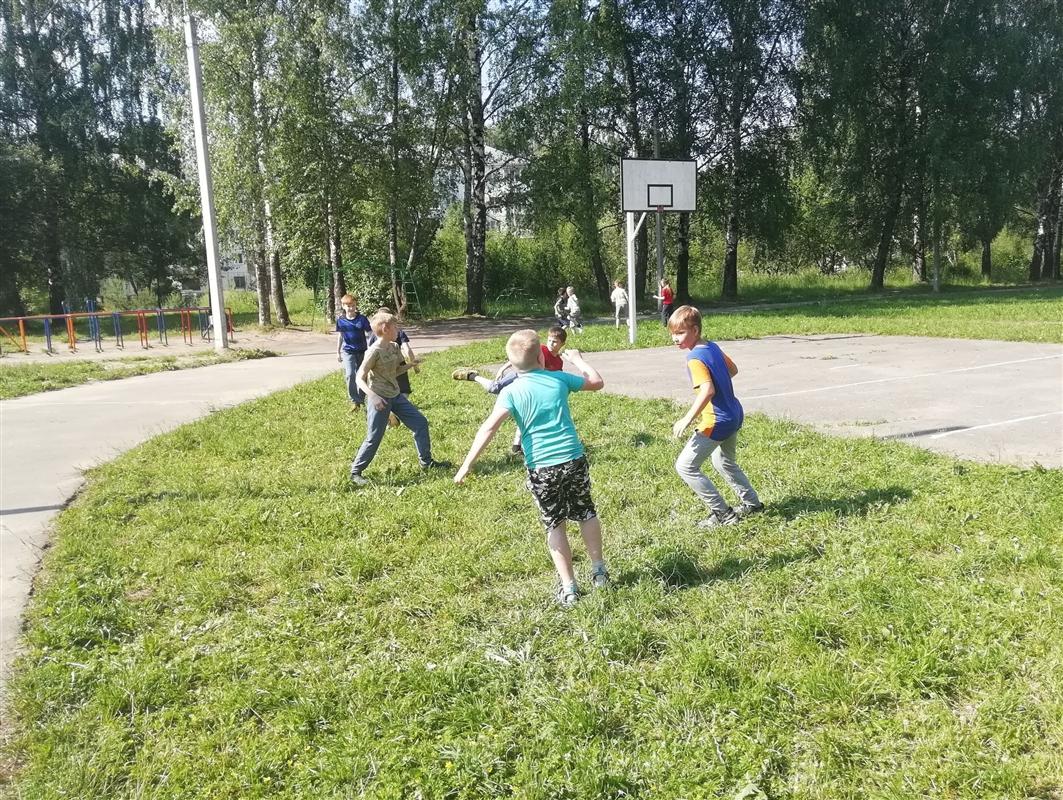 Спортивные школы Костромы возобновляют работу.

