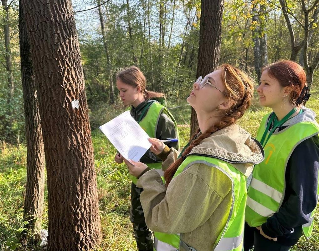 Проект костромичей занял призовое место на Всероссийском съезде школьных лесничеств
