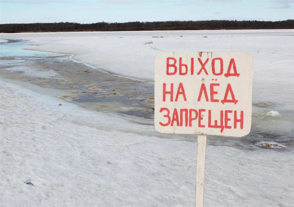 Костромичей предупредили об опасности выхода на тонкий весенний лед