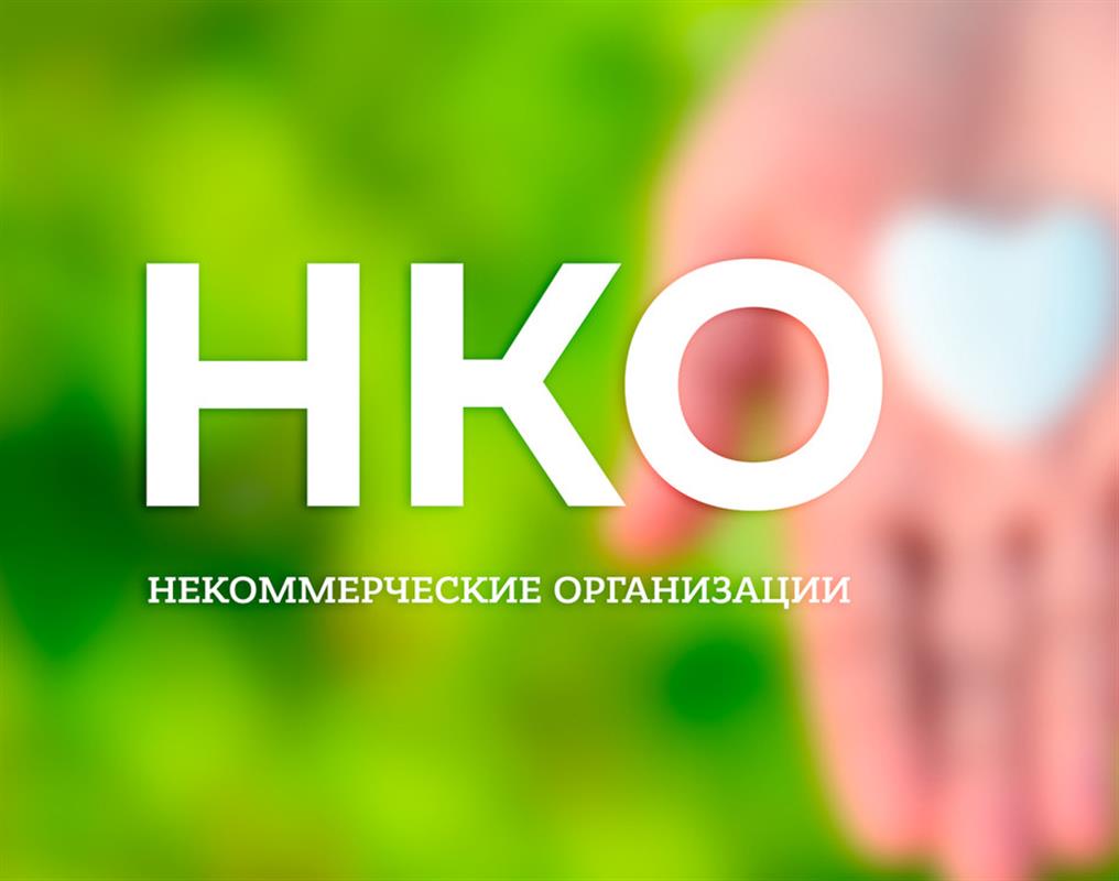 Костромские НКО могут получить субсидии на реализацию социально значимых проектов