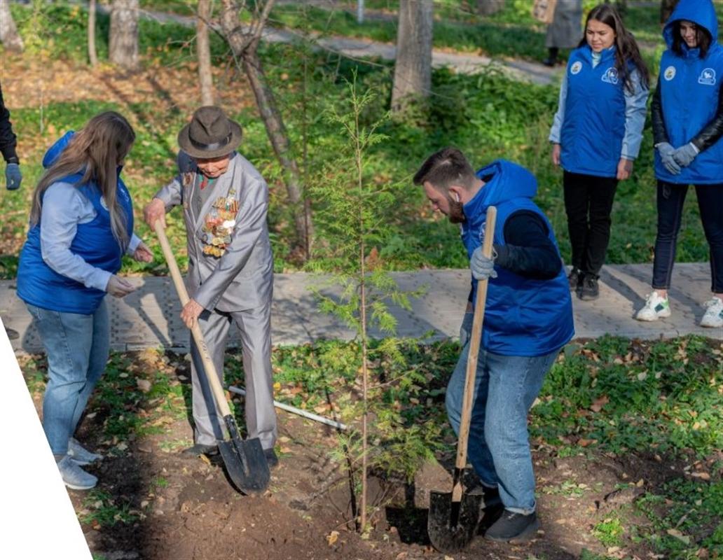 «Сад памяти»: в рамках международной акции в Костроме высадят сотни саженцев
