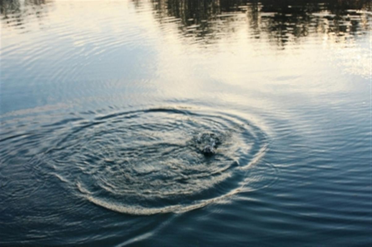 В Костромской области во время купания утонул мужчина