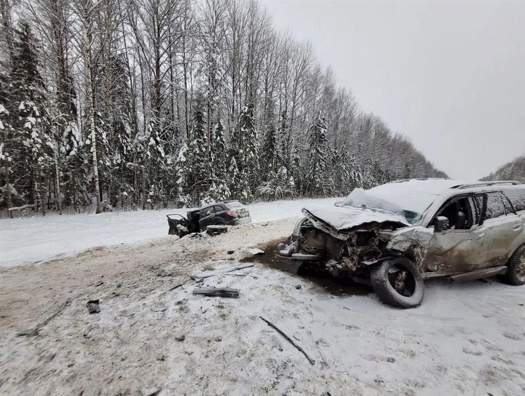 Два человека погибли при столкновении иномарок на костромской трассе 
