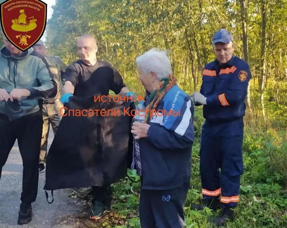 Заблудившуюся в костромском лесу 84-летнюю женщину нашли живой 