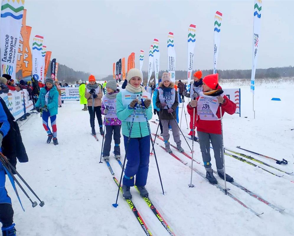 В Костромской области началась подготовка трассы для всероссийского лыжного марафона 