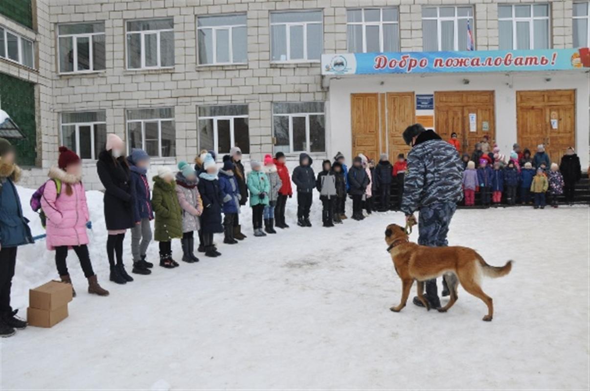 Костромским школьникам показали, как служебные собаки ищут наркотики и взрывчатку 
