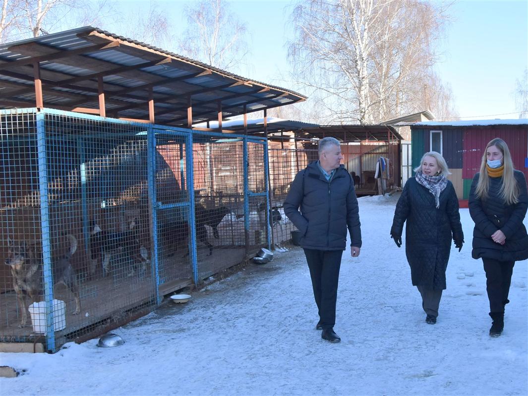 Костромской приют для животных приобрел холодильник при поддержке городского бюджета
