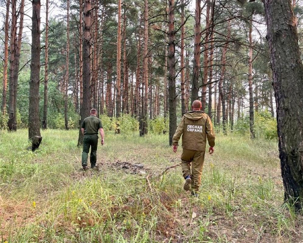 Особый противопожарный режим в Костромской области продлили до 27 июня
