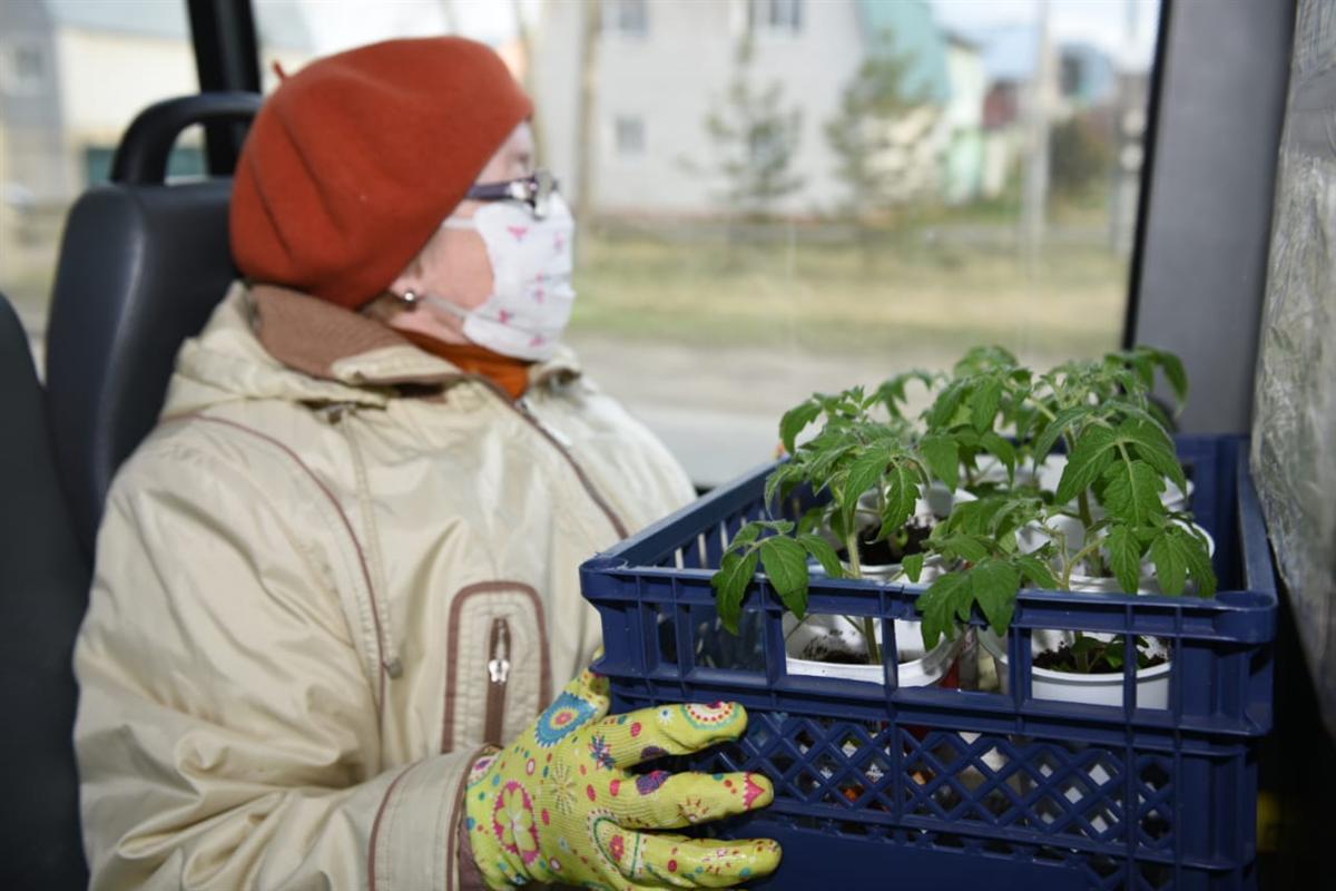 В Костроме появится специальный маршрут для садоводов