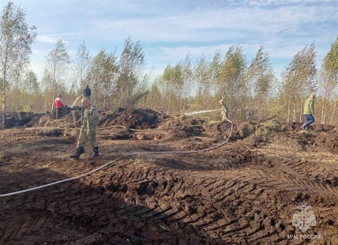 В Костромском районе тушат лесной пожар: горит торф