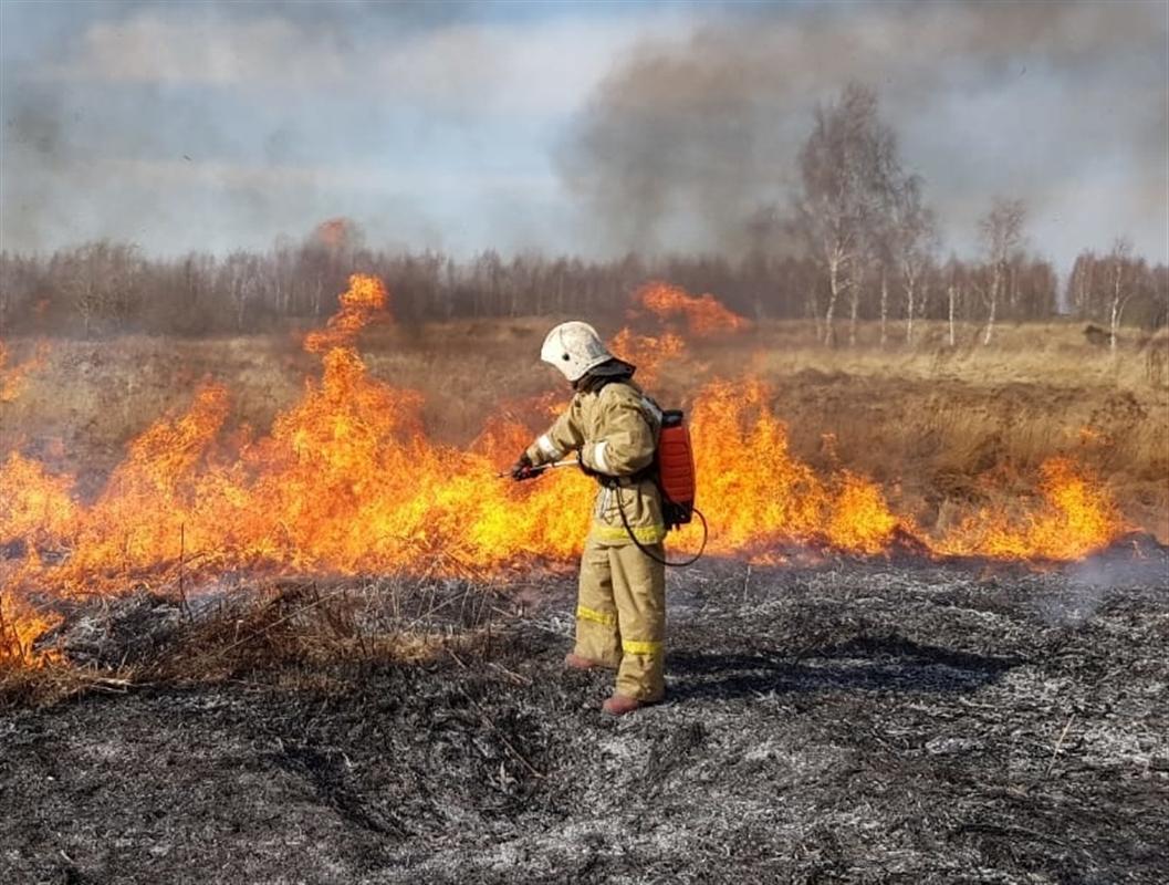 За неделю костромские пожарные более 40 раз выезжали тушить сухую траву