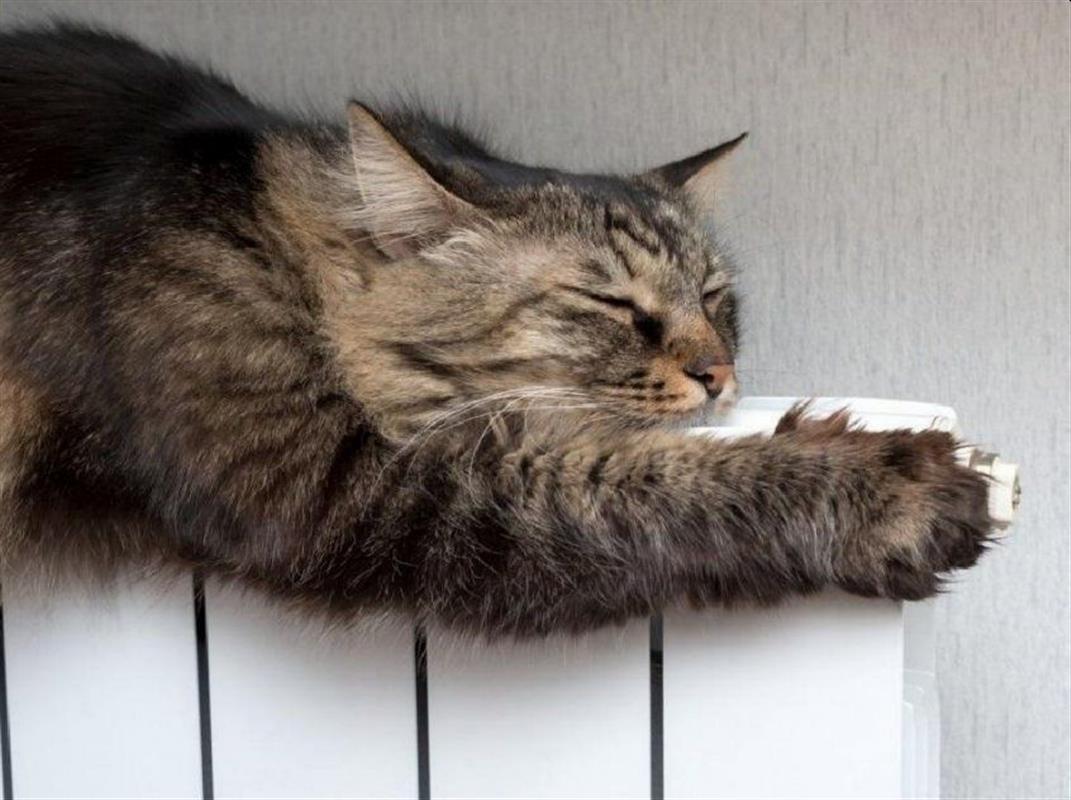 За сутки после ремонтов на сетях отопление восстановлено в 47 костромских МКД