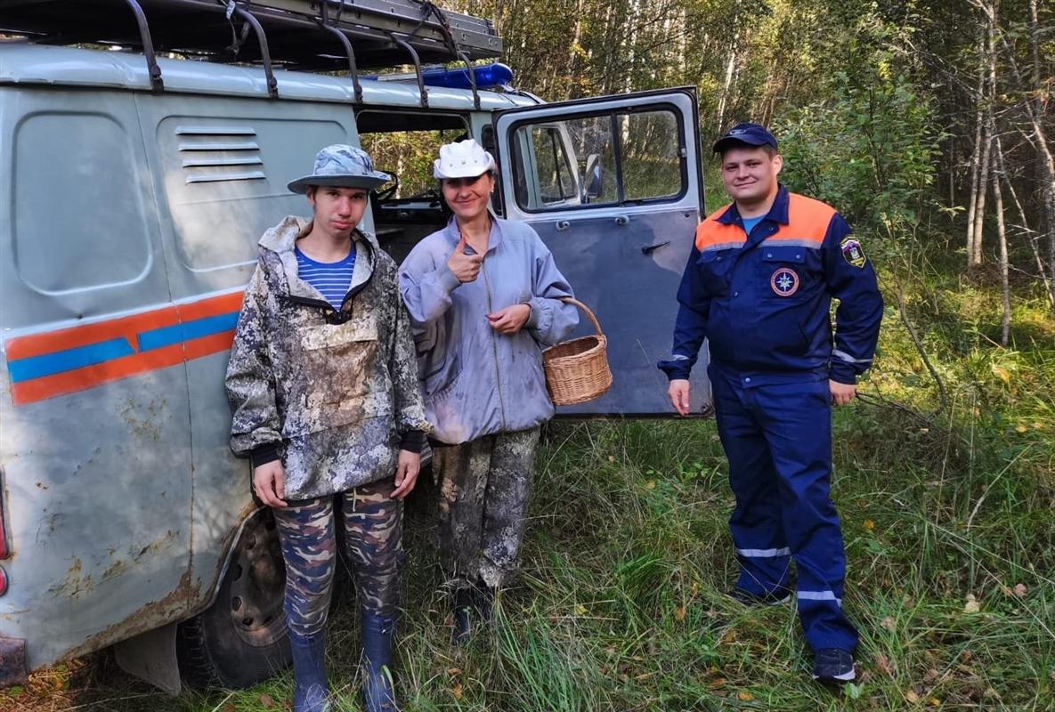 Заблудившихся грибников в Костромском районе нашли за час