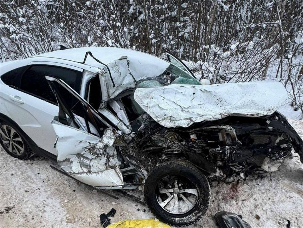 На костромской трассе грузовик вылетел на «встречку» и устроил ДТП