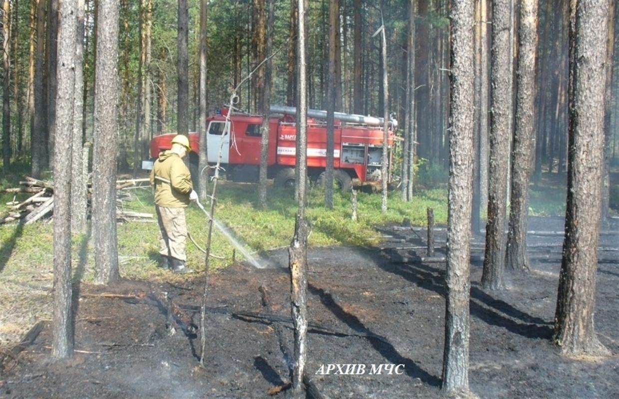 В Костромской области зафиксировано шесть лесных пожаров 