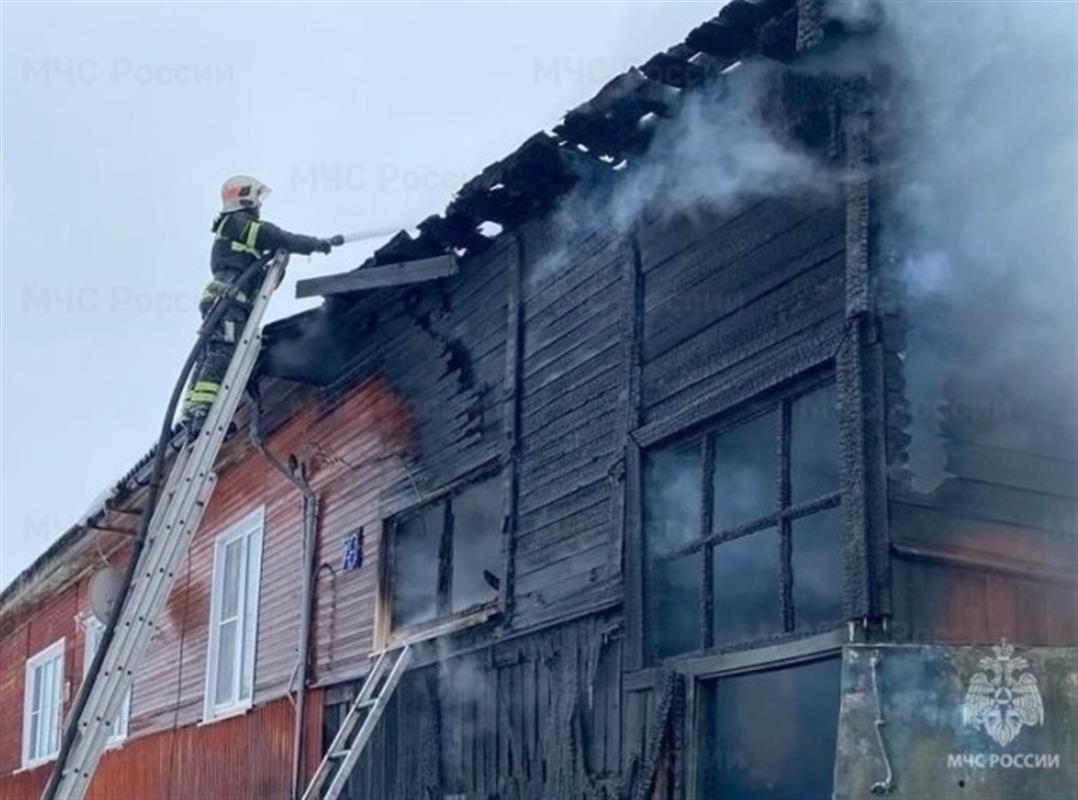 За неделю при пожарах в Костромской области пострадали два человека