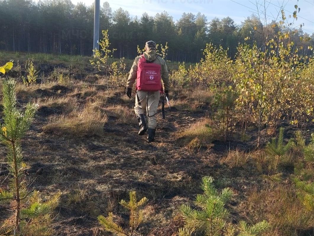 В Костромском районе тушат лесной пожар