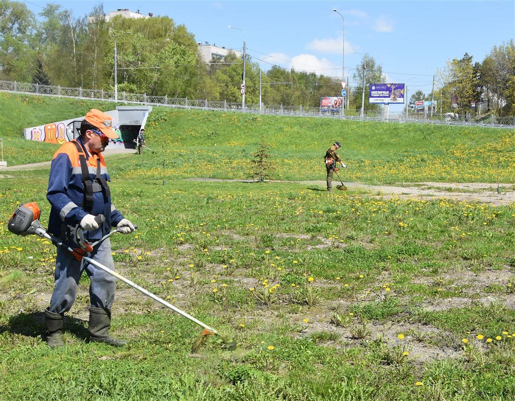 В Костроме начали косить траву на общегородских территориях