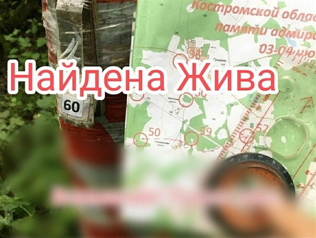 Спасатели всю ночь искали 88-летнюю женщину, заплутавшую в костромских лесах